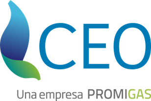 CEO, una empresa Promigas